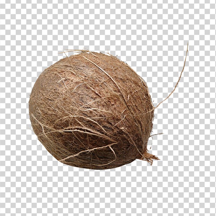 Coconut 1