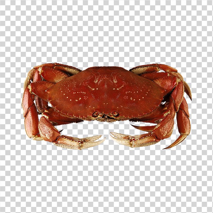 
									Crab 02