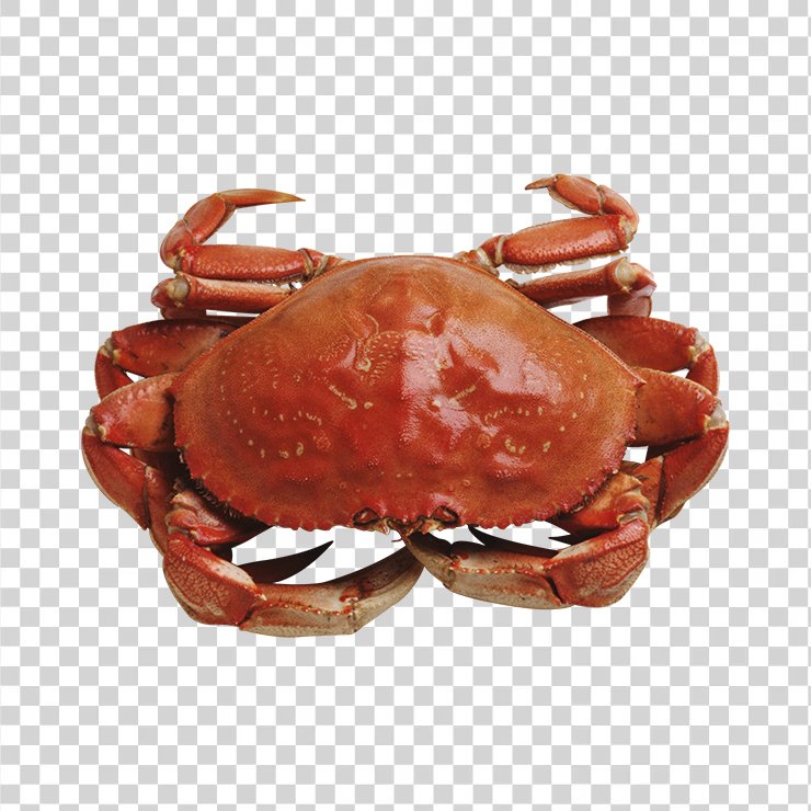 Crab 15