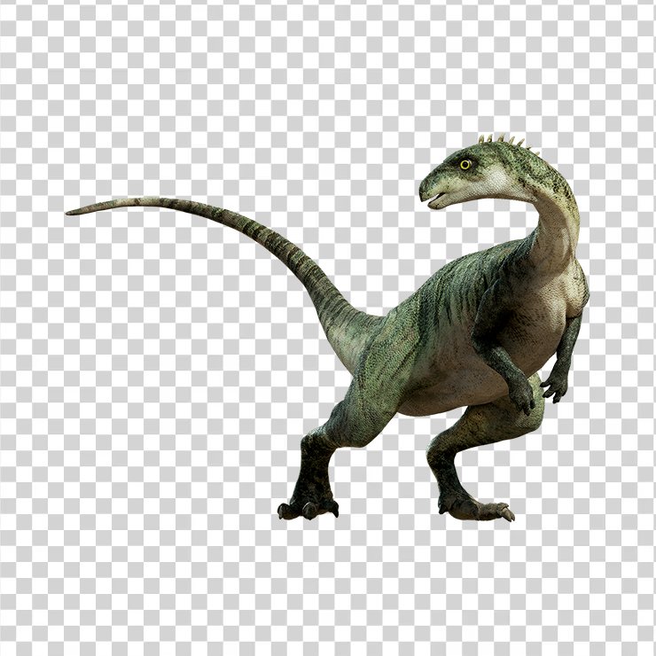 Dino 9