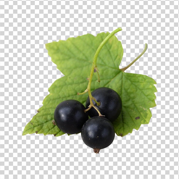 Fresh Black Currants