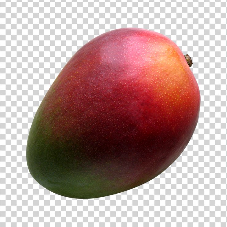 Fresh Mango Fruit