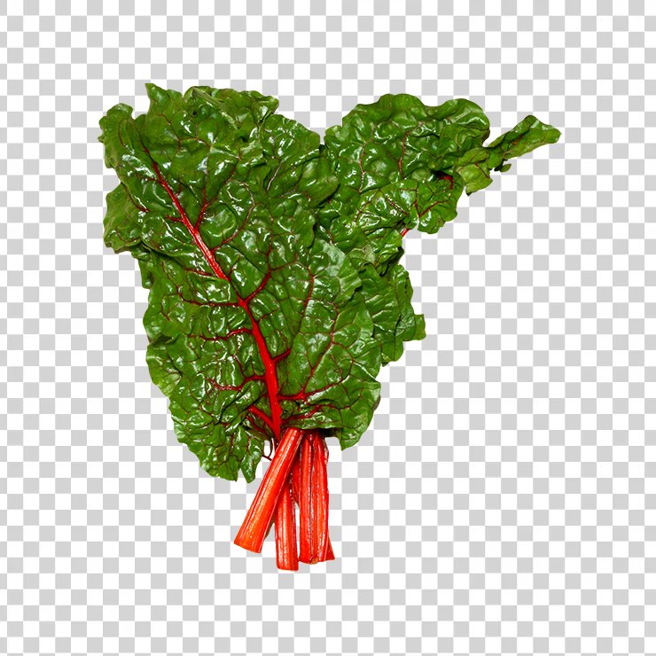 Fresh swiss chard