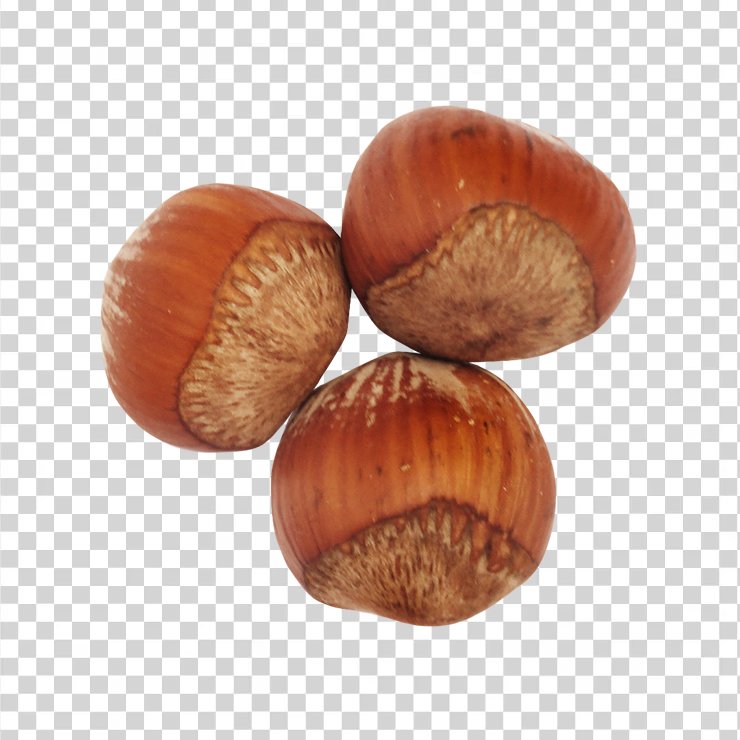 Hazelnut 4