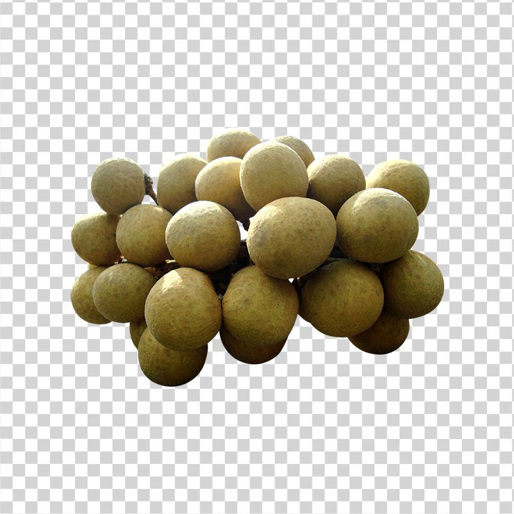 
									Longan 558