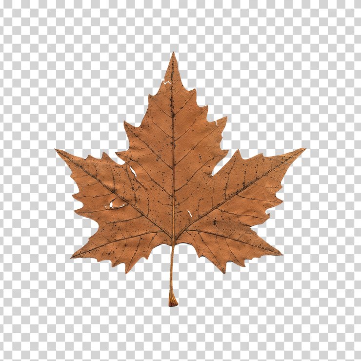 Maple Leaf