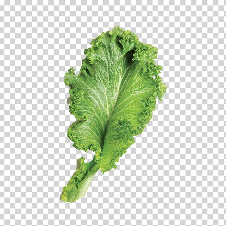 Mustardgreens 1