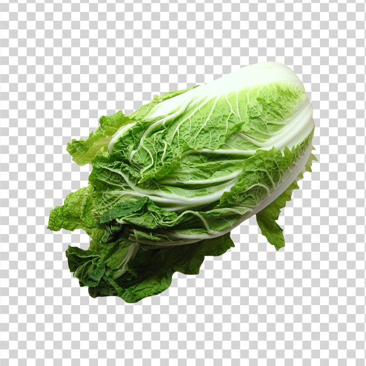 Napacabbage 1