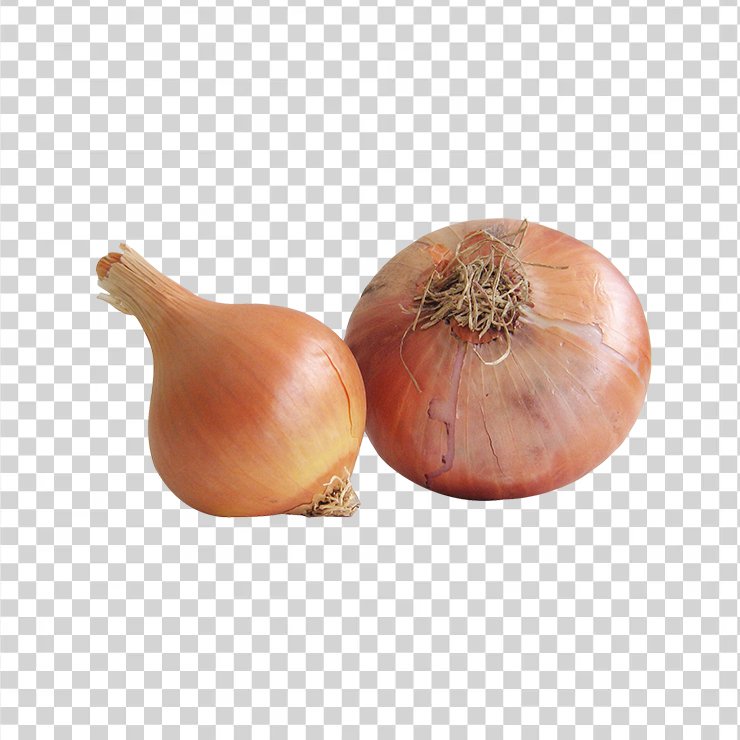 Onion 1
