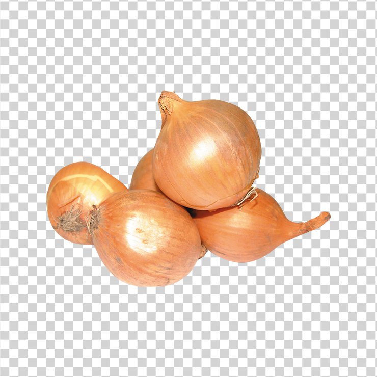 Onion 2