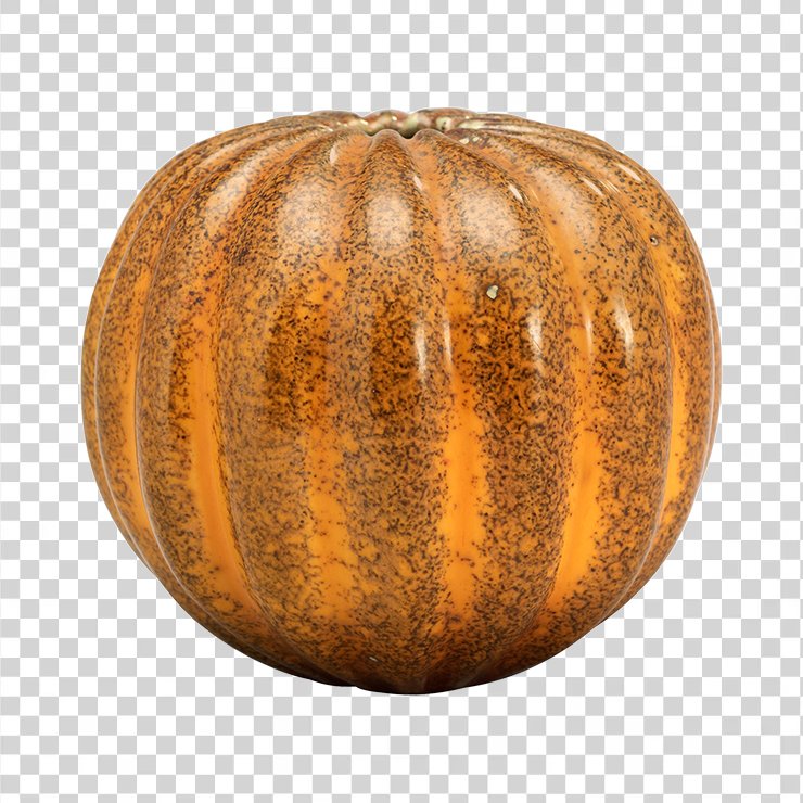 Pumpkin 6