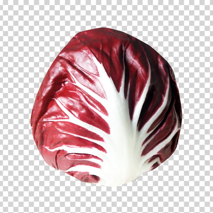 Radicchio 1