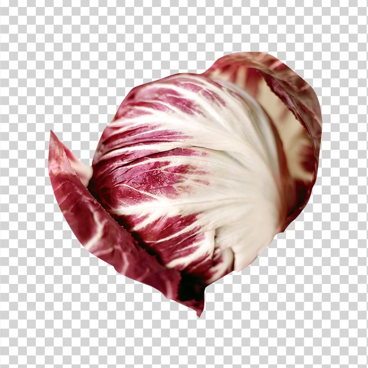 Radicchio 2