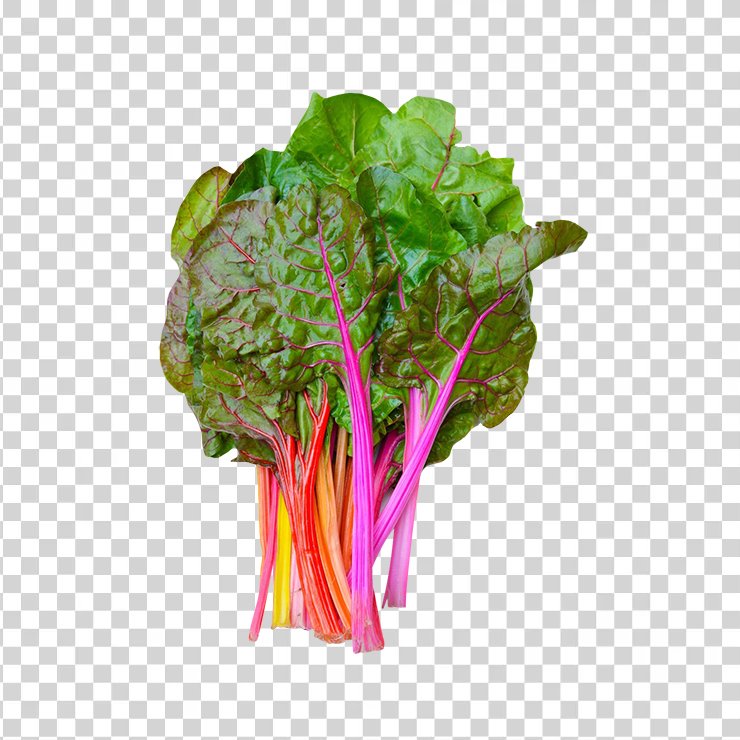 Rainbow swiss chard