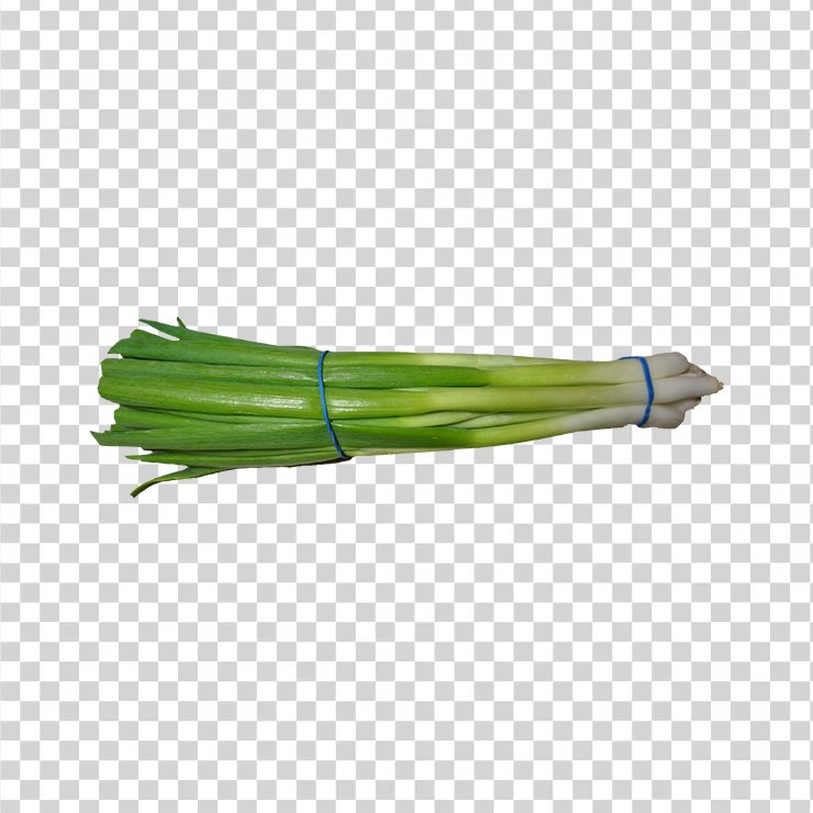 Scallion green onion