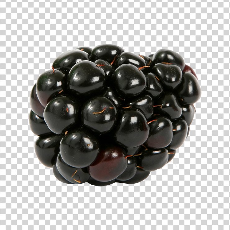 Single Fresh Blackberry