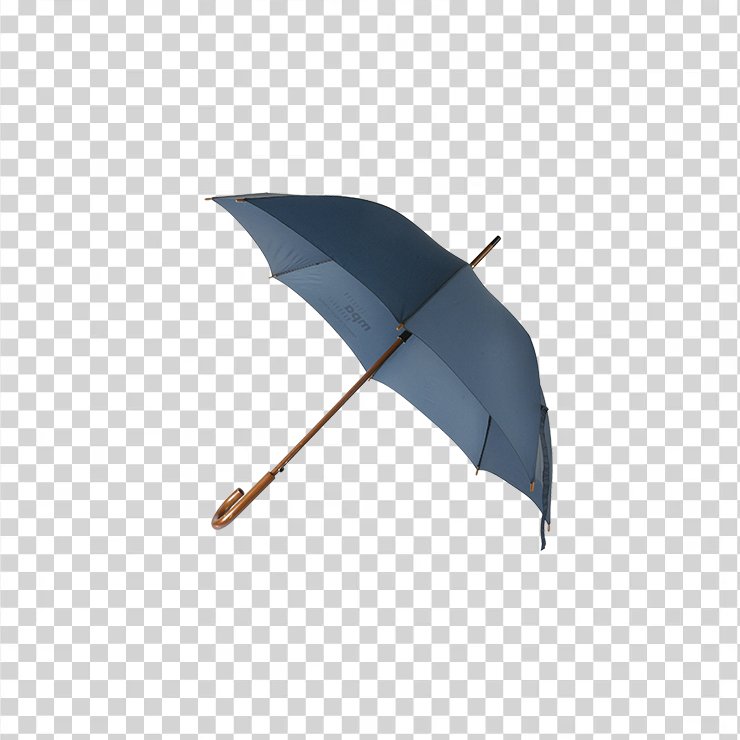 Umbrella 1