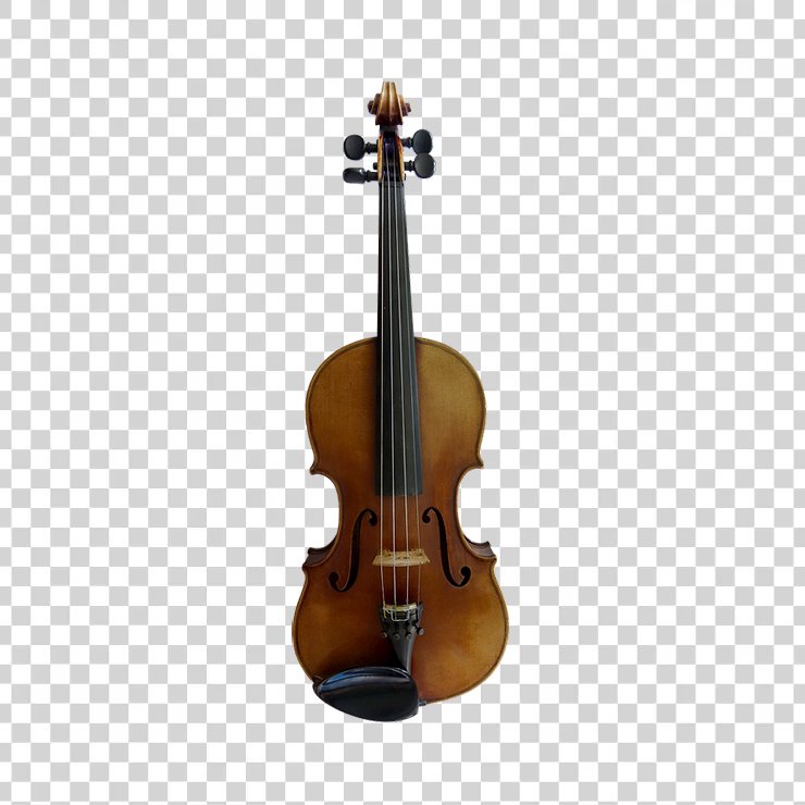 Violin